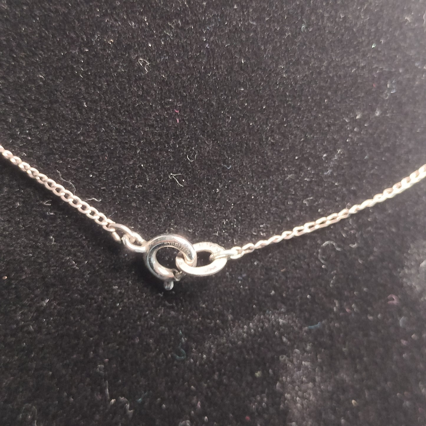 Sterling Silver Fish Pendant and Chain