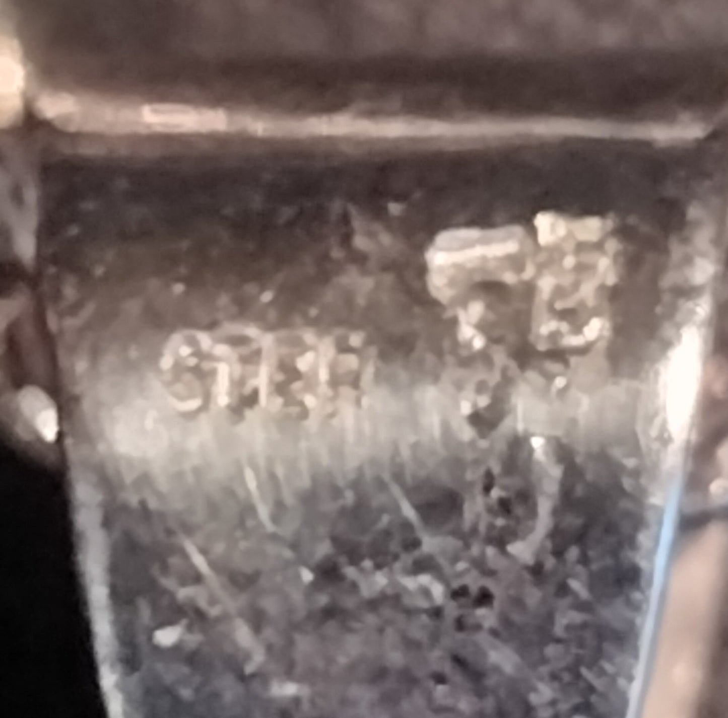 Sterling Silver Resin and Sealife Pendant and Chain