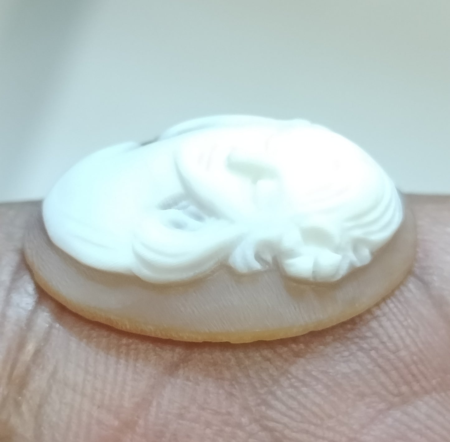 Vintage Shell Cameo