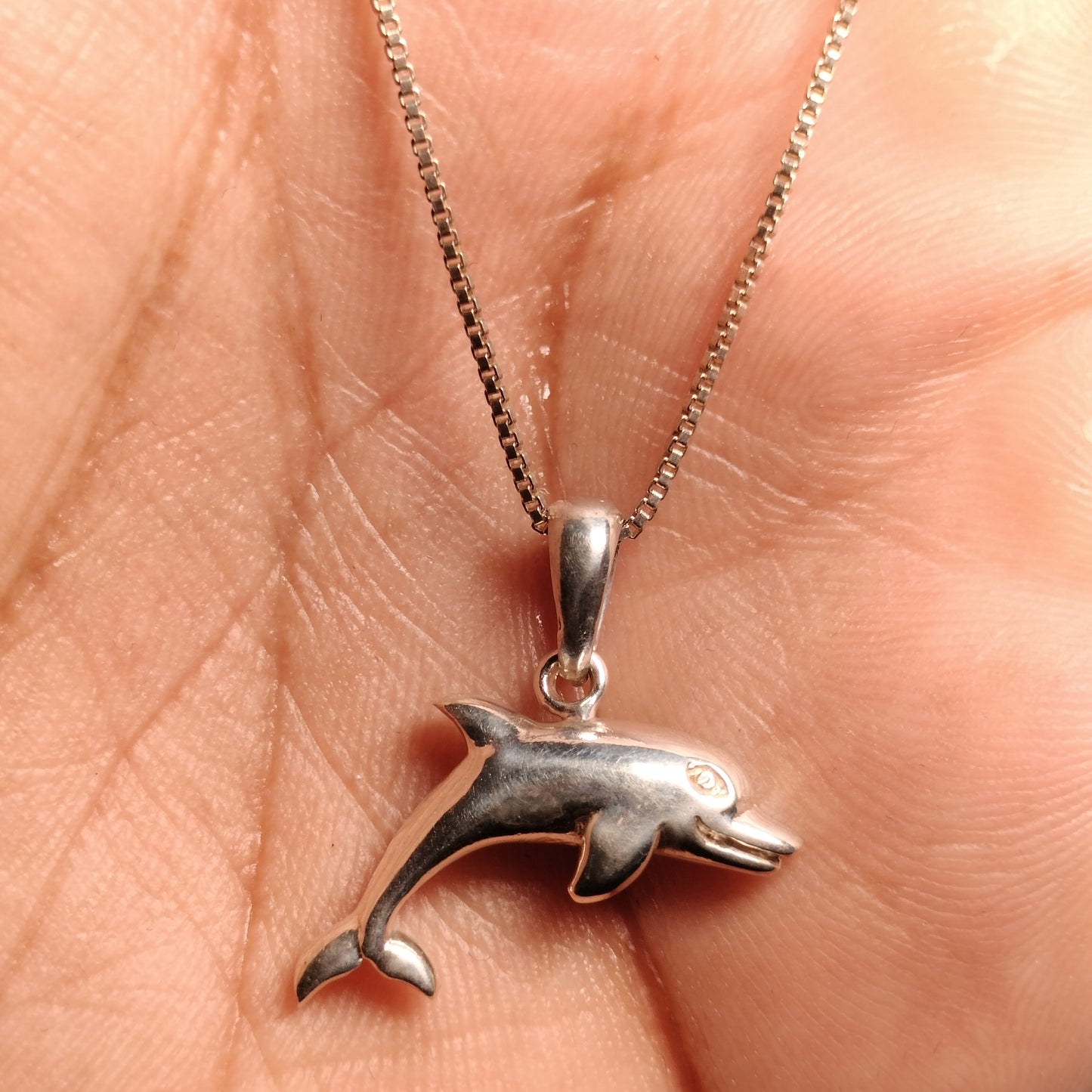 Sterling Silver Dolphin Pendant and Chain