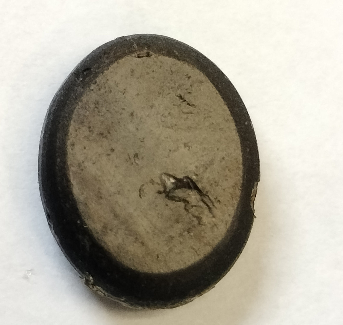 5.53 Carat Black Star Sapphire Gemstone
