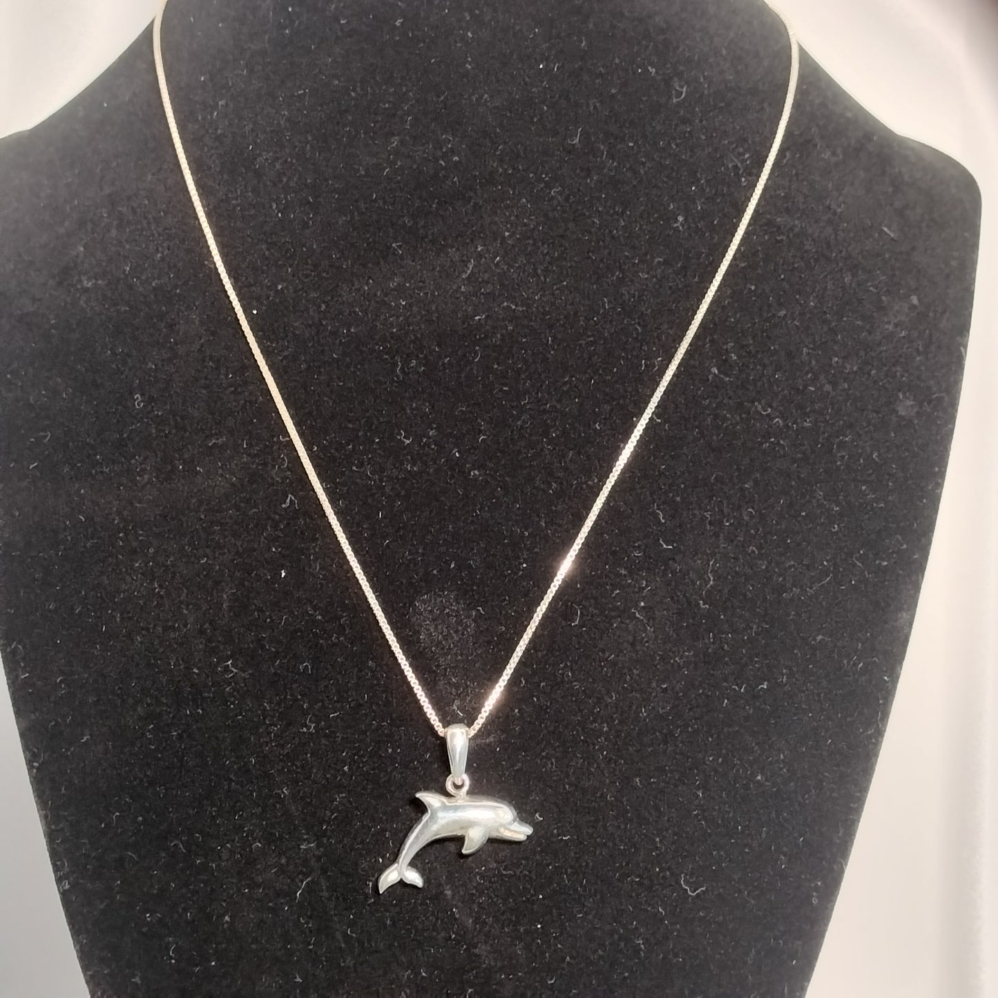 Sterling Silver Dolphin Pendant and Chain
